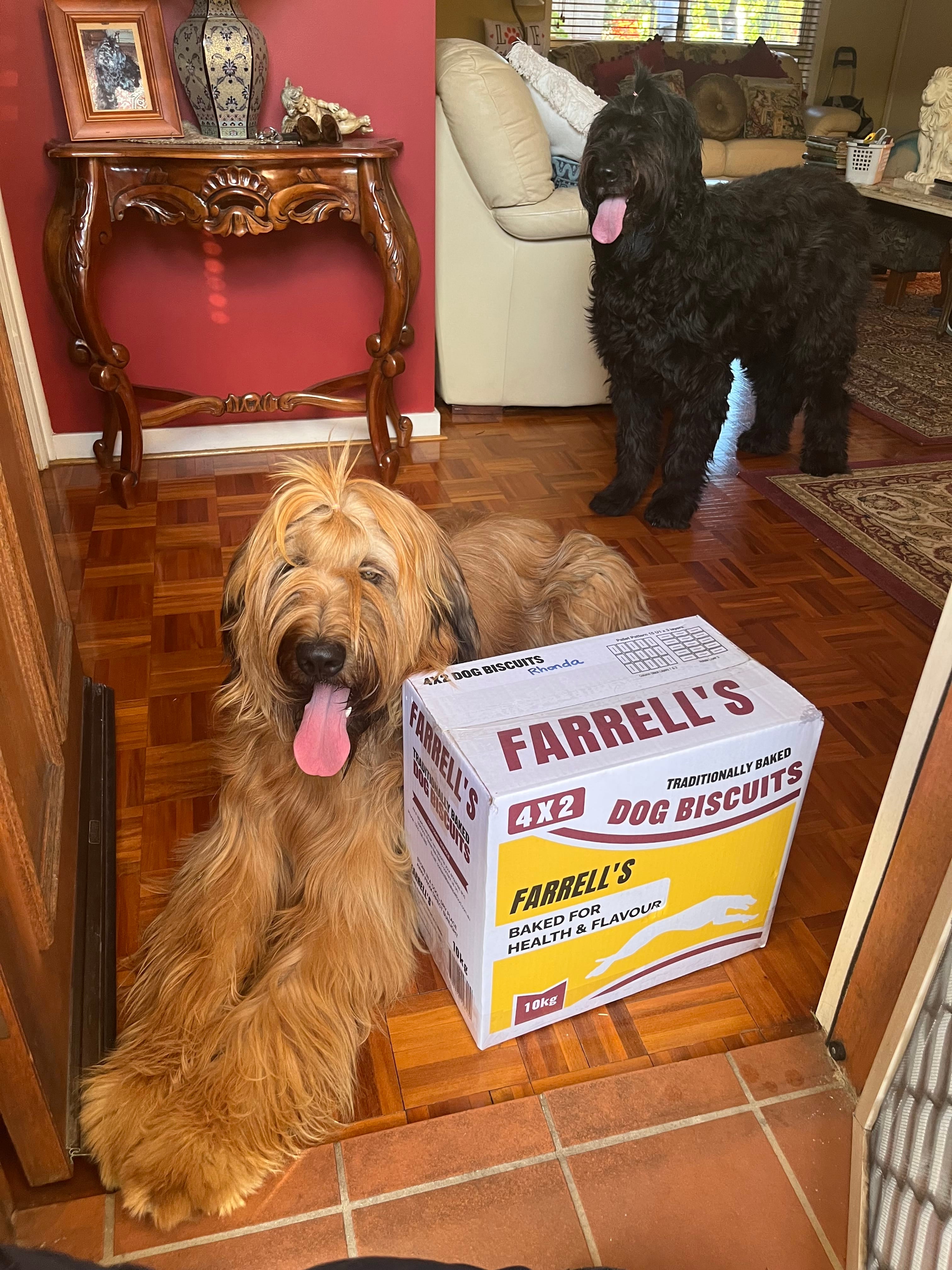 Farrell's Original 4x2 Dog Biscuits 10kg